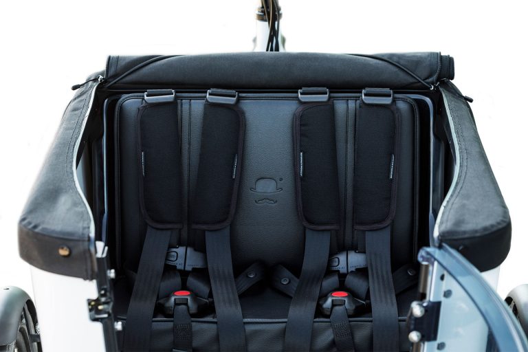 Child Seat For Two